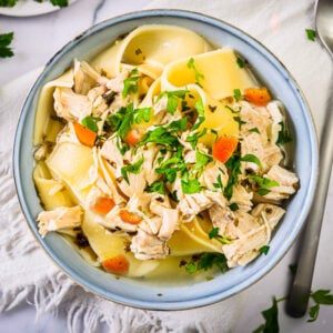 instant pot chicken noodle soup
