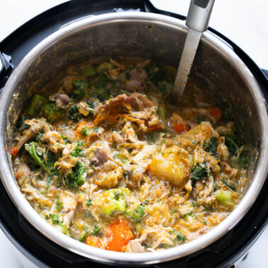 Dog food in Instant Pot with metal spoon in it.