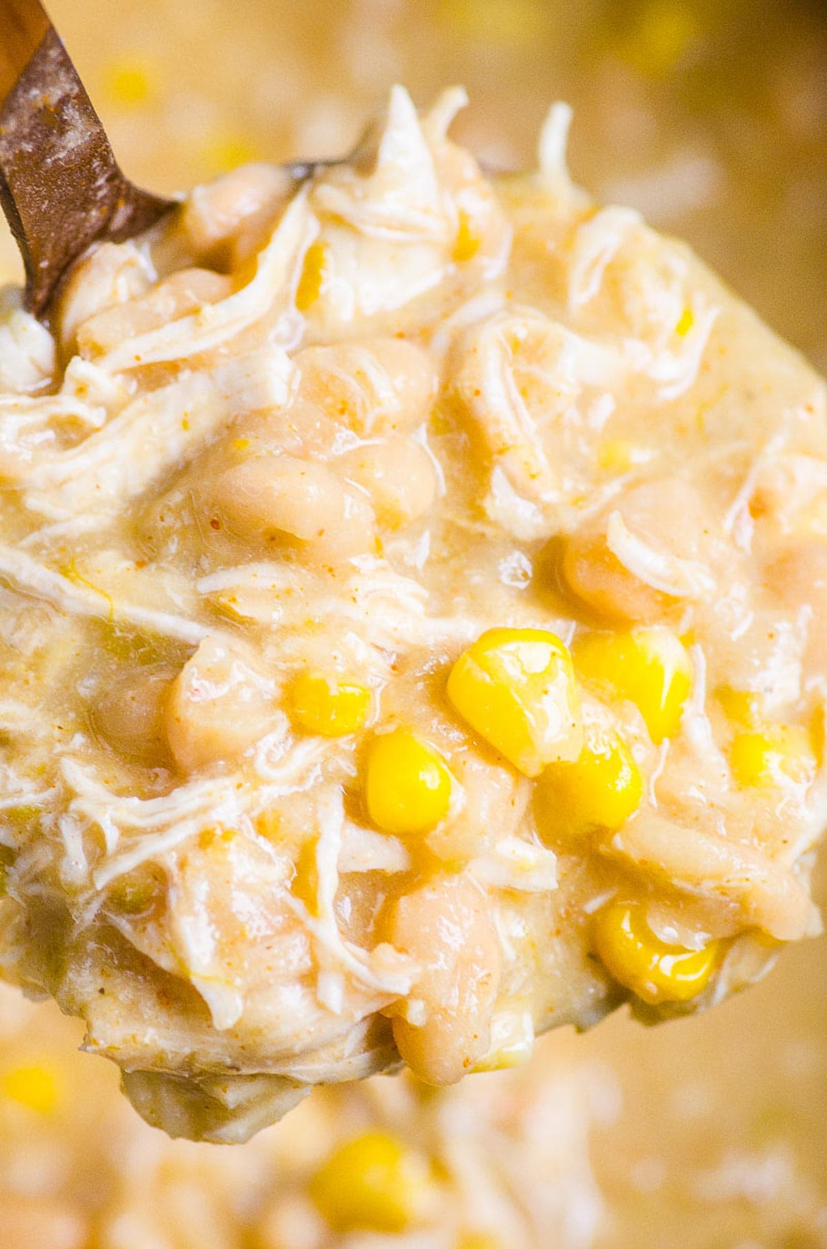 Instant Pot white chicken chili close up on a ladle.