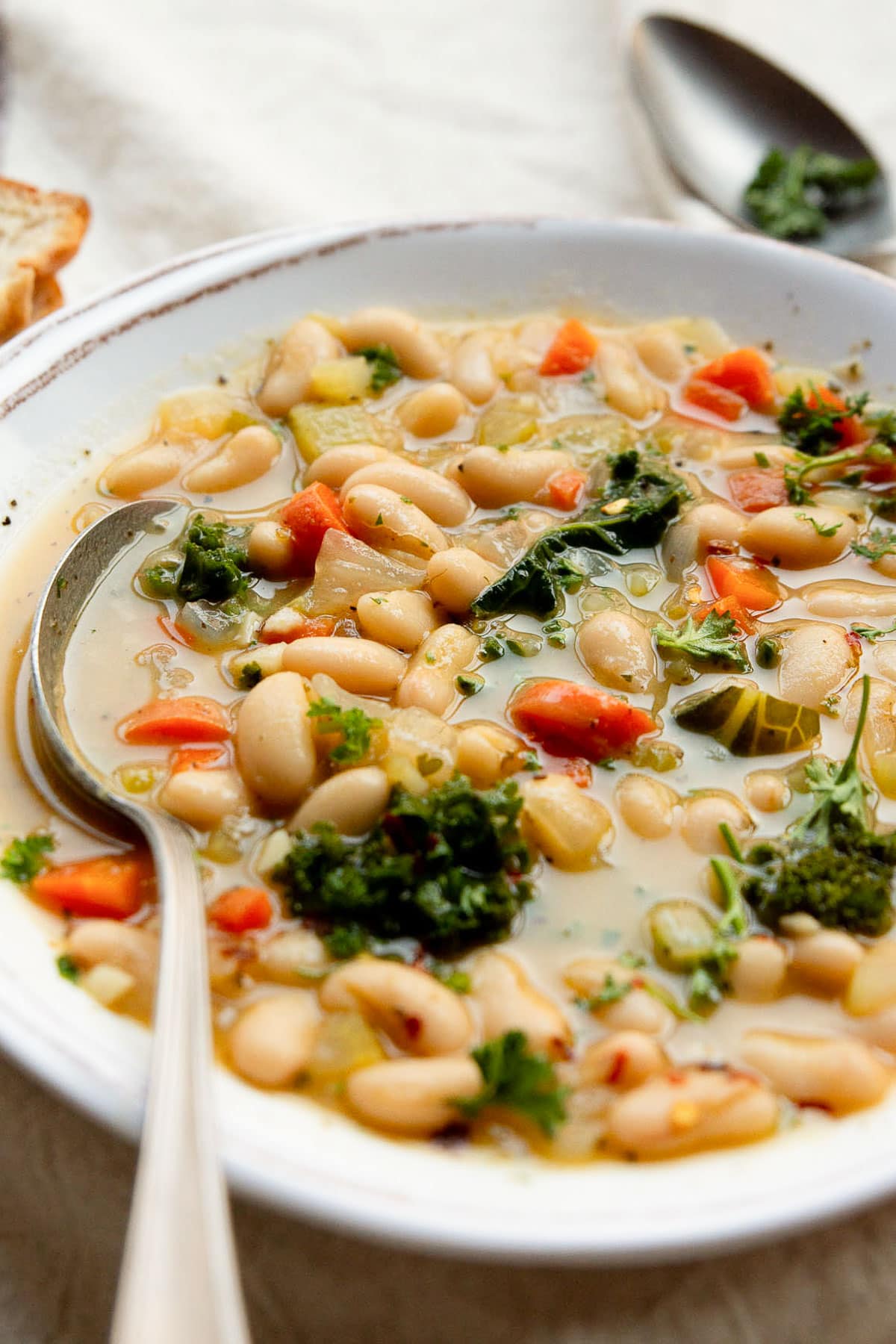 Close up view of tuscan bean soup in a bowl.